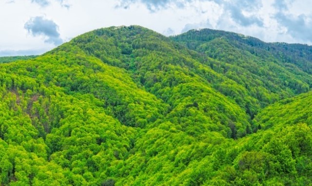 Mautain Medvednica in de buurt van Zagreb, Kroatië